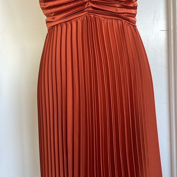 Petal and Pup Naira Pleated Maxi Dress - Picture 10 of 14